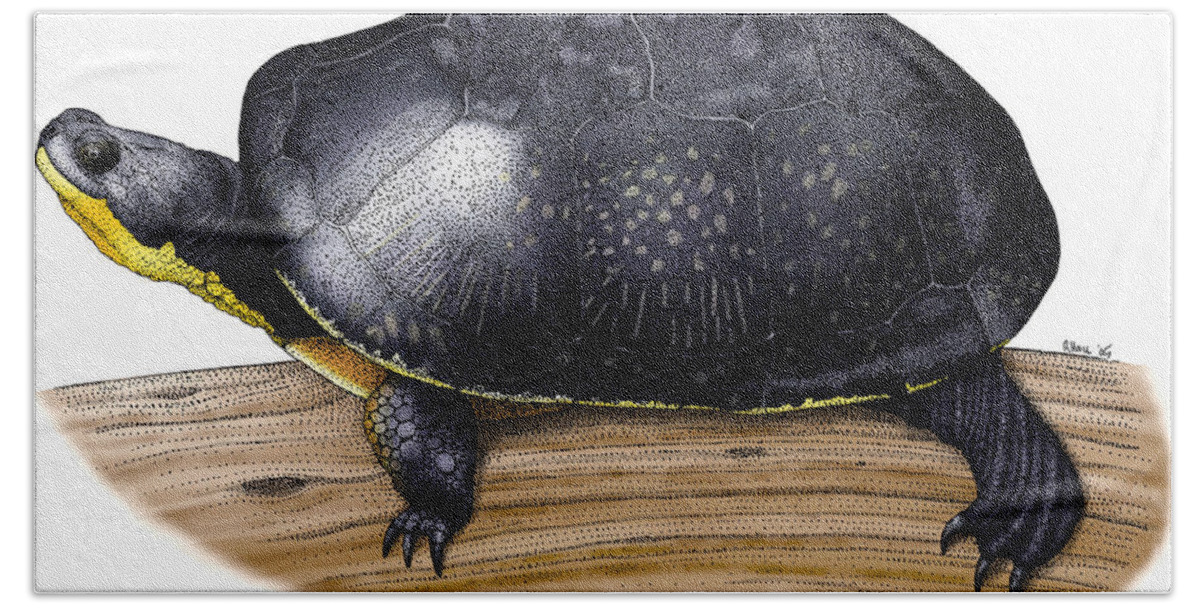 Art Bath Towel featuring the photograph Blandings Turtle by Roger Hall
