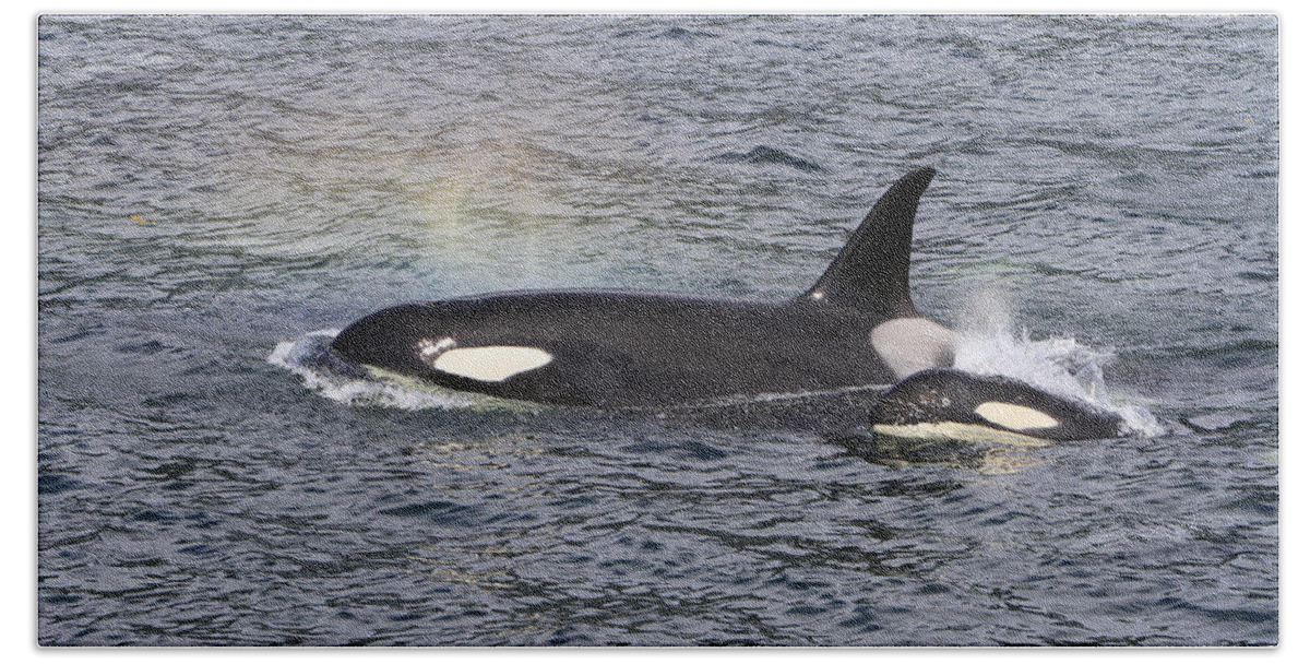 Orca Bath Towel featuring the photograph Blowing Rainbows by Shoal Hollingsworth