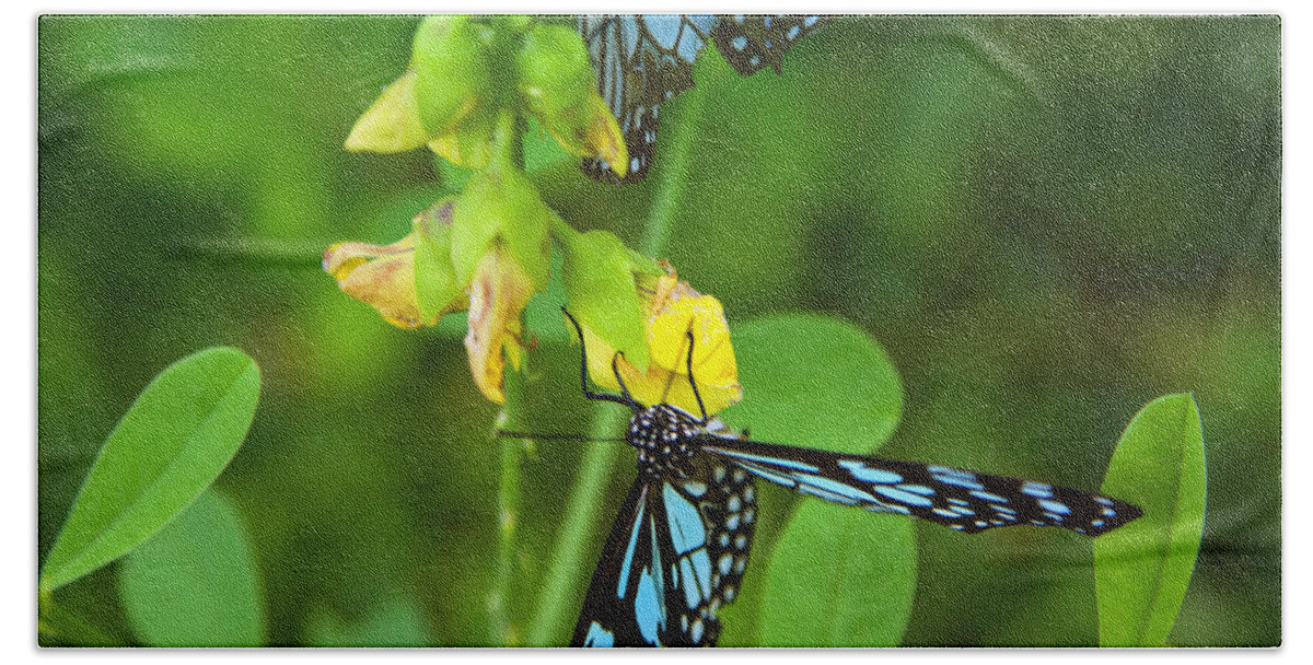 Butterfly Bath Towel featuring the photograph Blue Butterflies In The Green Garden by Gina Koch