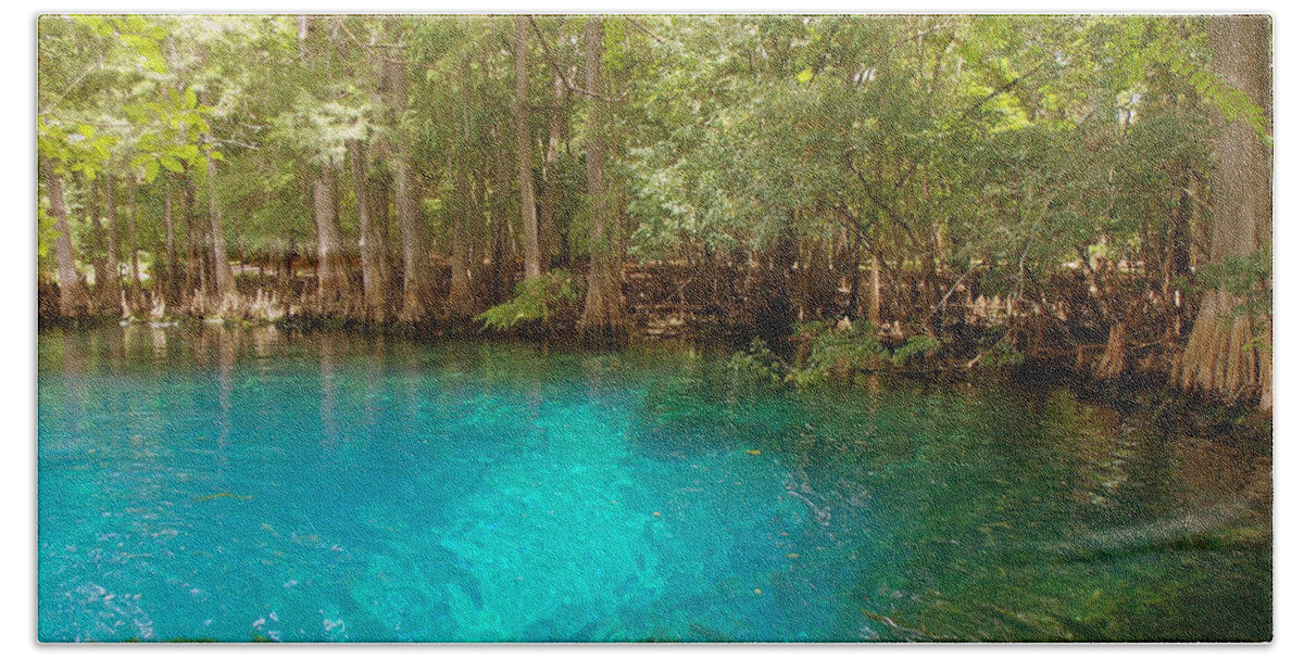 Manatee Springs Chiefland Florida Bath Towel featuring the photograph Blue Chill 1 by Sheri McLeroy