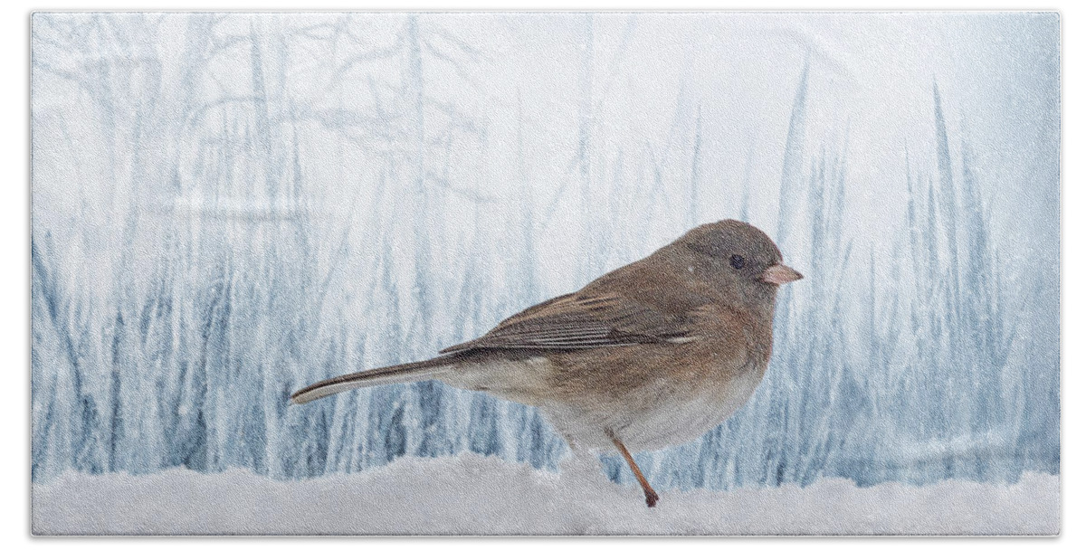 Female Bird Hand Towel featuring the photograph Blue Christmas Junco by Bill and Linda Tiepelman