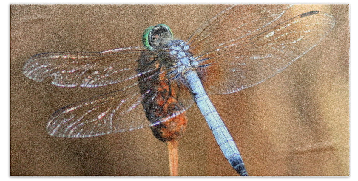 Dragonfly Bath Towel featuring the photograph Blue Dragonfly Square by Carol Groenen