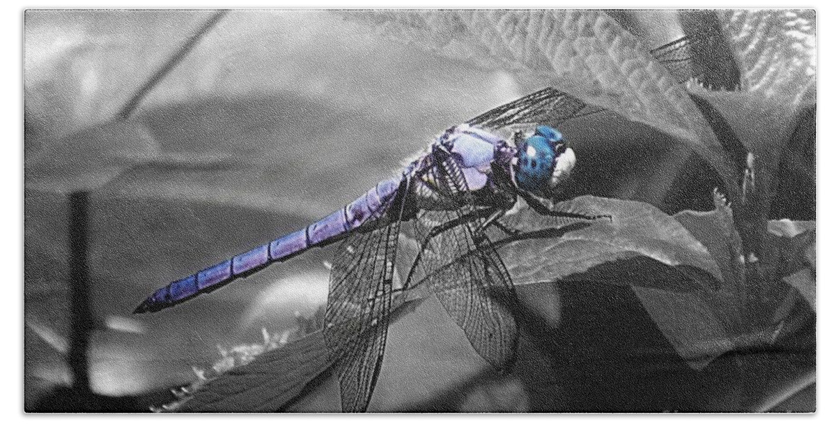 Blue Bath Towel featuring the photograph Blue Eyed Dragonfly by Sharon Woerner
