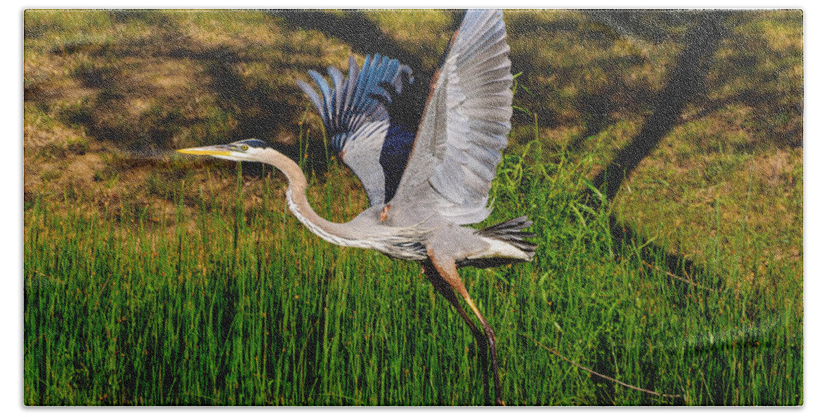 Blue Heron Hand Towel featuring the photograph Blue Heron in flight by John Johnson
