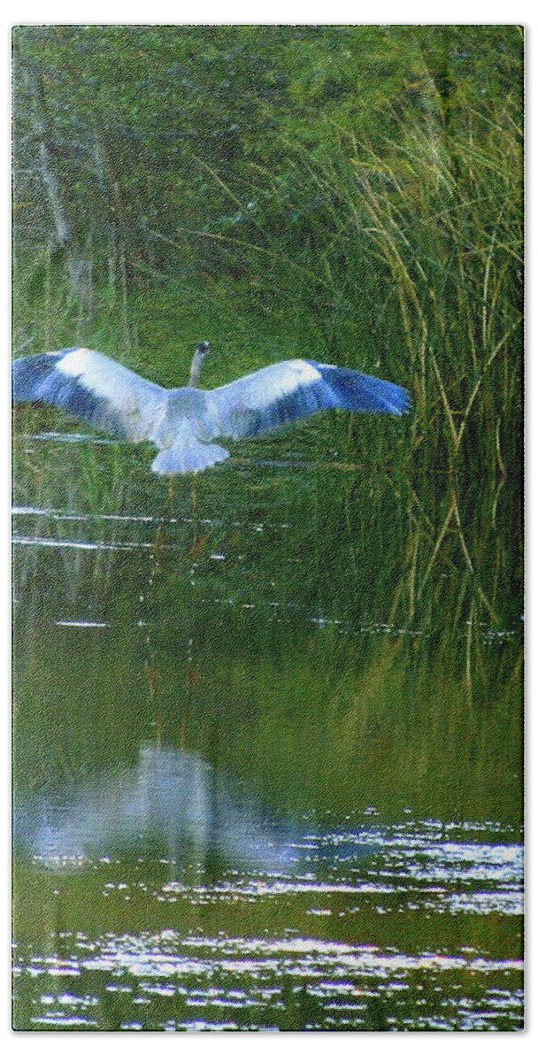 Bird Hand Towel featuring the photograph Blue Heron by Matalyn Gardner