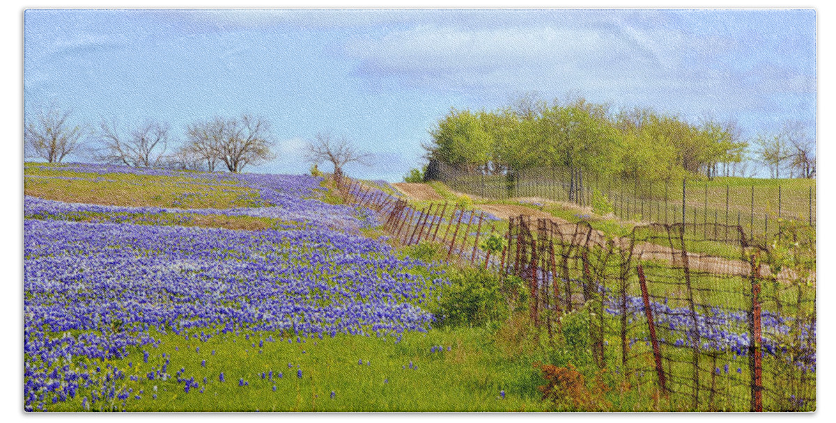 Bluebonnets Photoreal Bath Towel featuring the photograph Blue Road Up A Hill by Pamela Smale Williams