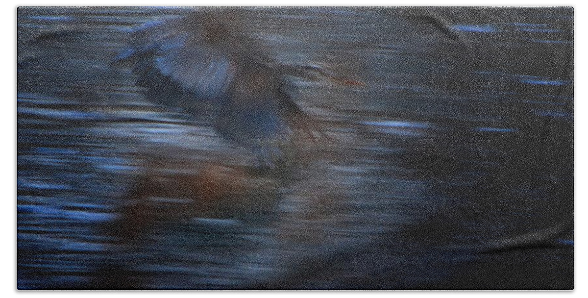 Great Blue Heron Bath Towel featuring the photograph Blue Streak by Robert McCubbin