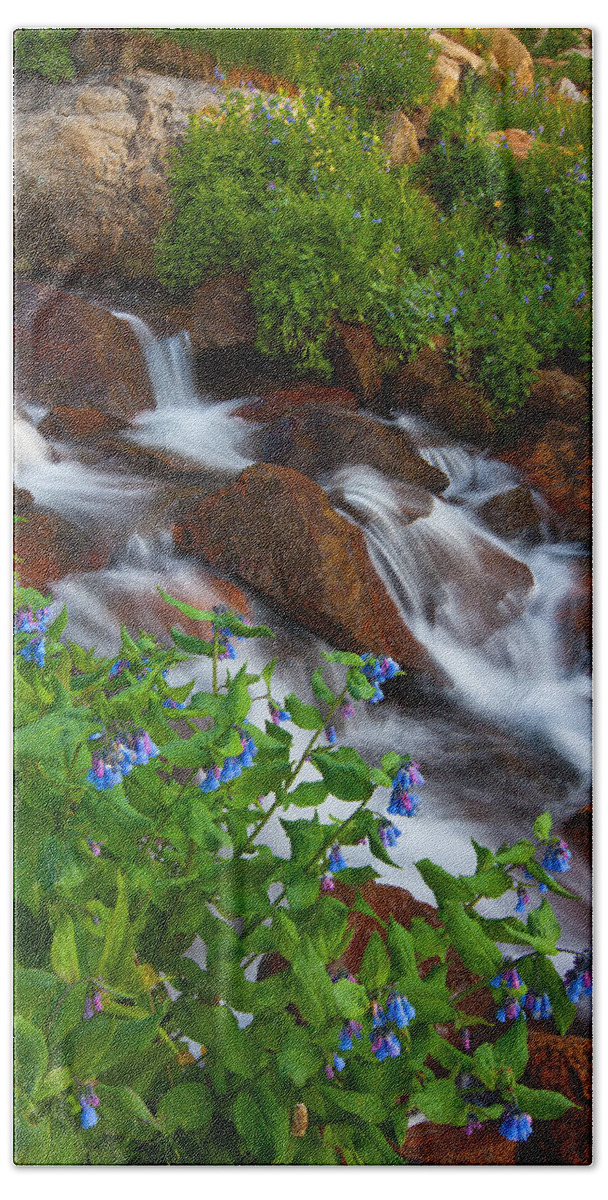 Stream Hand Towel featuring the photograph Bluebell Creek by Darren White