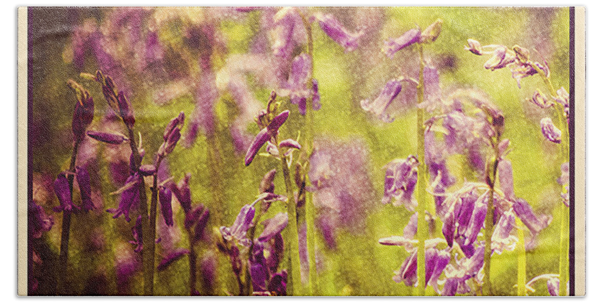 Bell Bottle Bath Towel featuring the photograph Bluebell in the woods by Spikey Mouse Photography