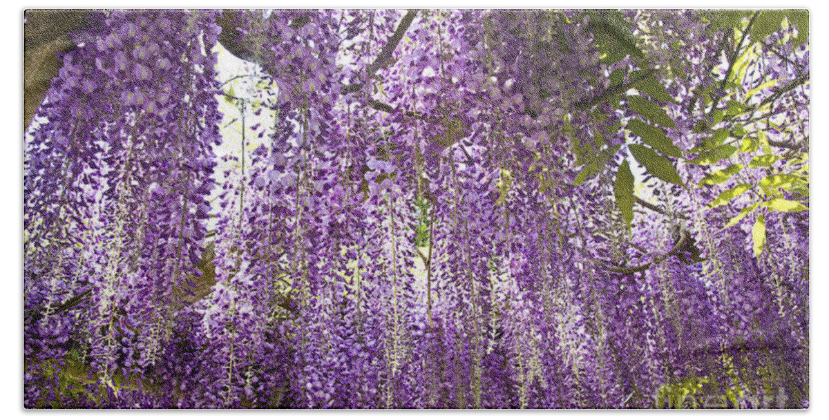 Nature Bath Towel featuring the photograph Bluerain Blossom by Heiko Koehrer-Wagner