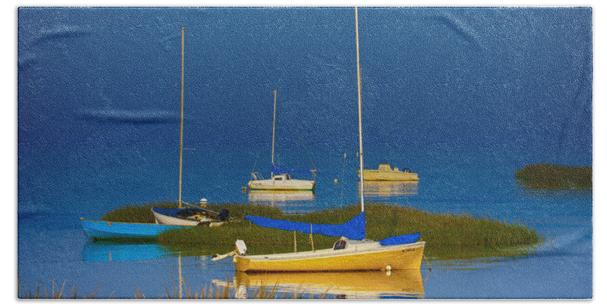 Boats Bath Towel featuring the photograph Boat Meadow by Darius Aniunas