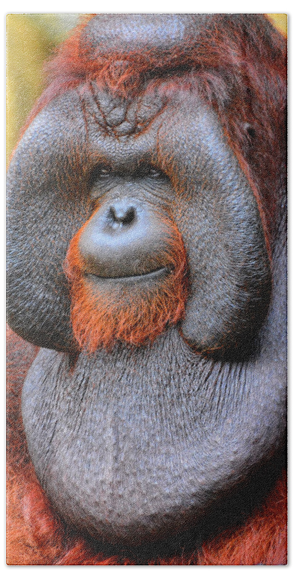 Orangutan Hand Towel featuring the photograph Bornean Orangutan IV by Lourry Legarde