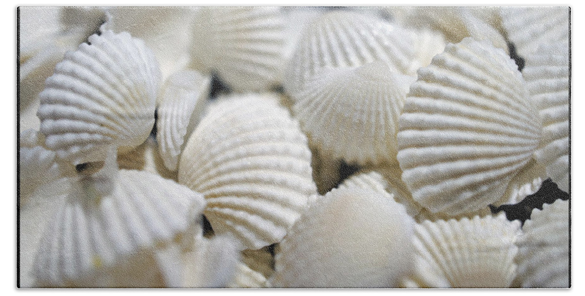 Macro Bath Towel featuring the photograph Bounty of Shells by Laurie Perry