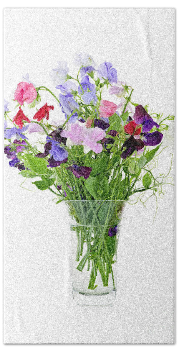 Sweet Pea Bath Towel featuring the photograph Bouquet of sweet pea flowers by Elena Elisseeva