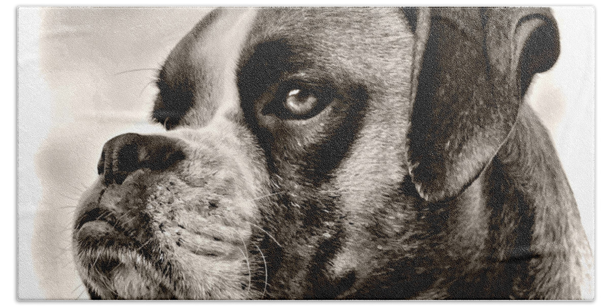 Adorable Bath Towel featuring the photograph Boxer Profile by Lana Trussell