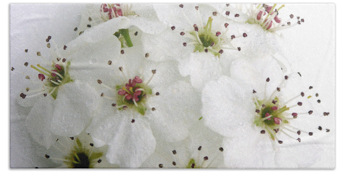 Anther Bath Towel featuring the photograph Bradford Pear Blossoms by Bonnie Sue Rauch