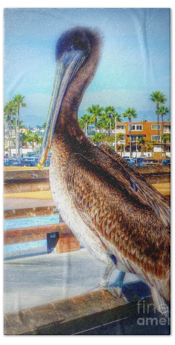 California Coastal Brown Pelican Bath Towel featuring the photograph Brief Pelican Encounter by Susan Garren