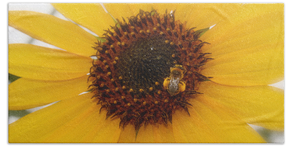 Single Vibrant Bright Yellow Sunflower Honey Bee Print Hand Towel featuring the photograph Vibrant Bright Yellow Sunflower With Honey Bee by Jerry Cowart