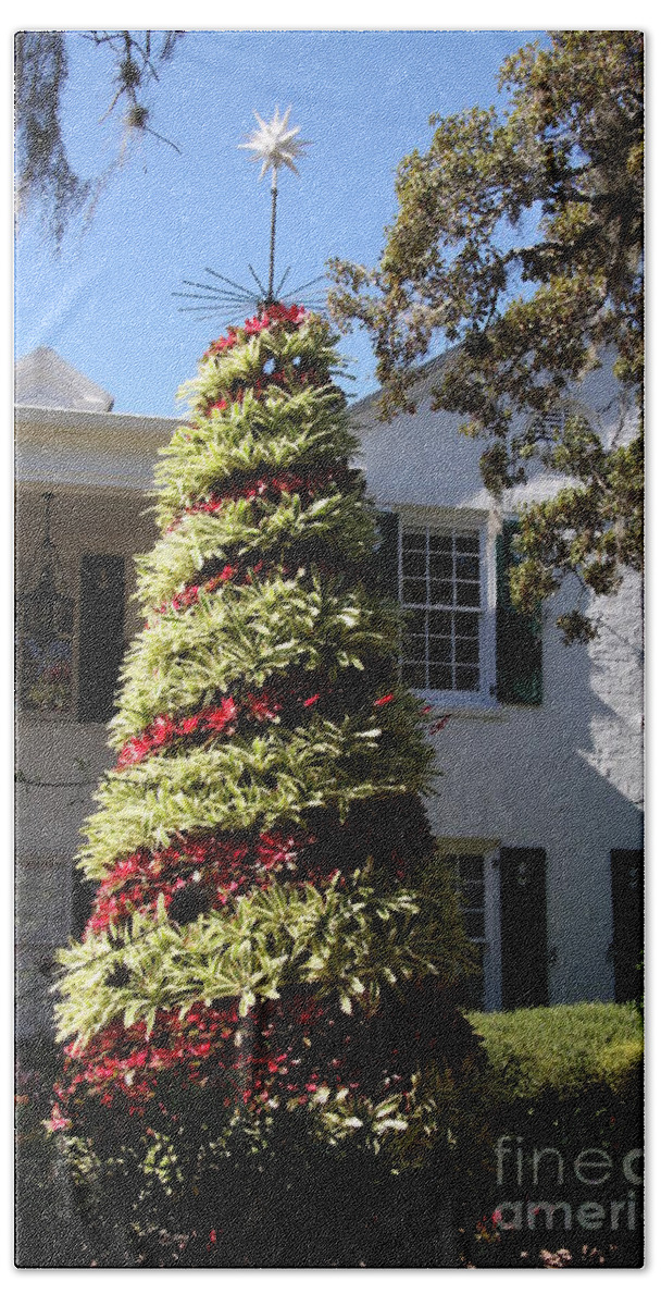 Tree Bath Towel featuring the photograph Bromelia Christmas Tree by Christiane Schulze Art And Photography