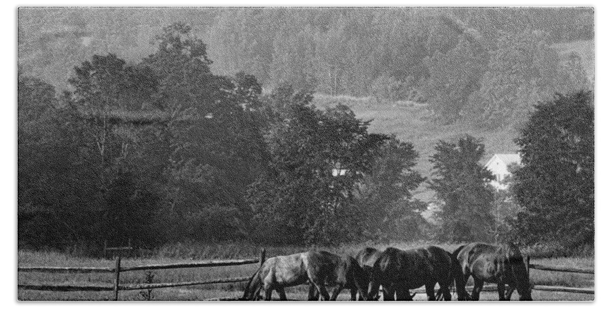 Flatlandsfoto Bath Towel featuring the photograph Broodmares by Joan Davis