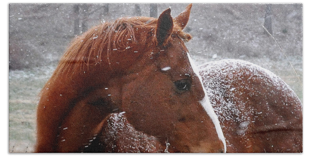 Nature Bath Towel featuring the photograph Snowing by Nava Thompson