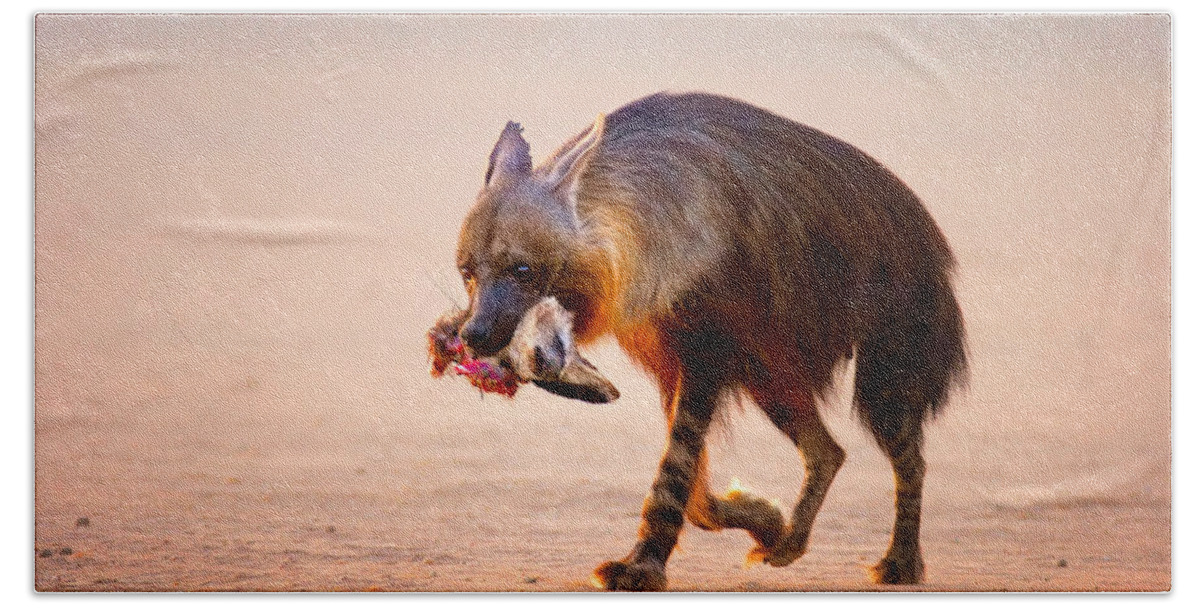 Hyena Hand Towel featuring the photograph Brown hyena with bat-eared fox in jaws by Johan Swanepoel