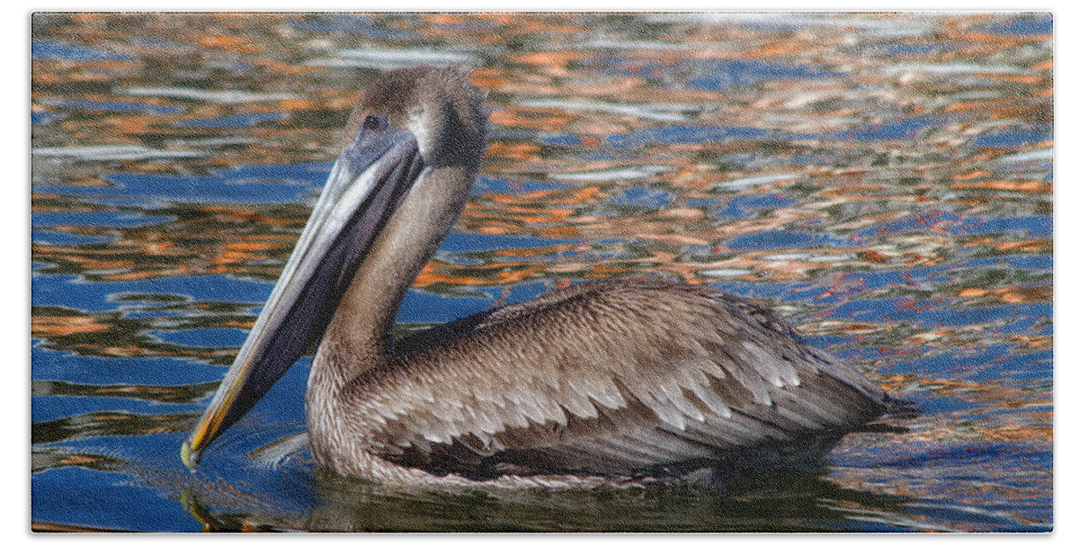 Pelican Hand Towel featuring the photograph Brown Pelican - Florida by Kim Hojnacki