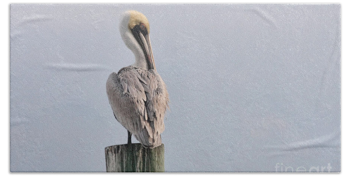 Pelican Bath Towel featuring the photograph Brown Pelican Portrait by Jayne Carney