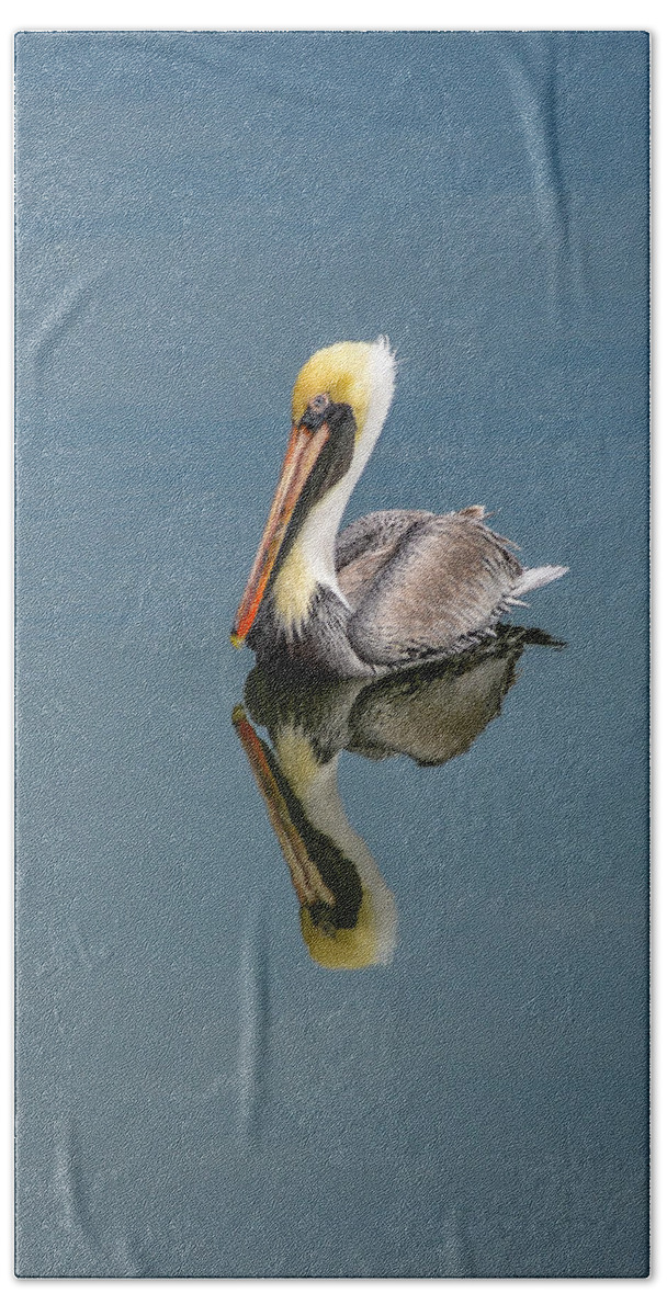 Brown Pelican Reflection Bath Towel featuring the photograph Brown Pelican Reflection by Debra Martz