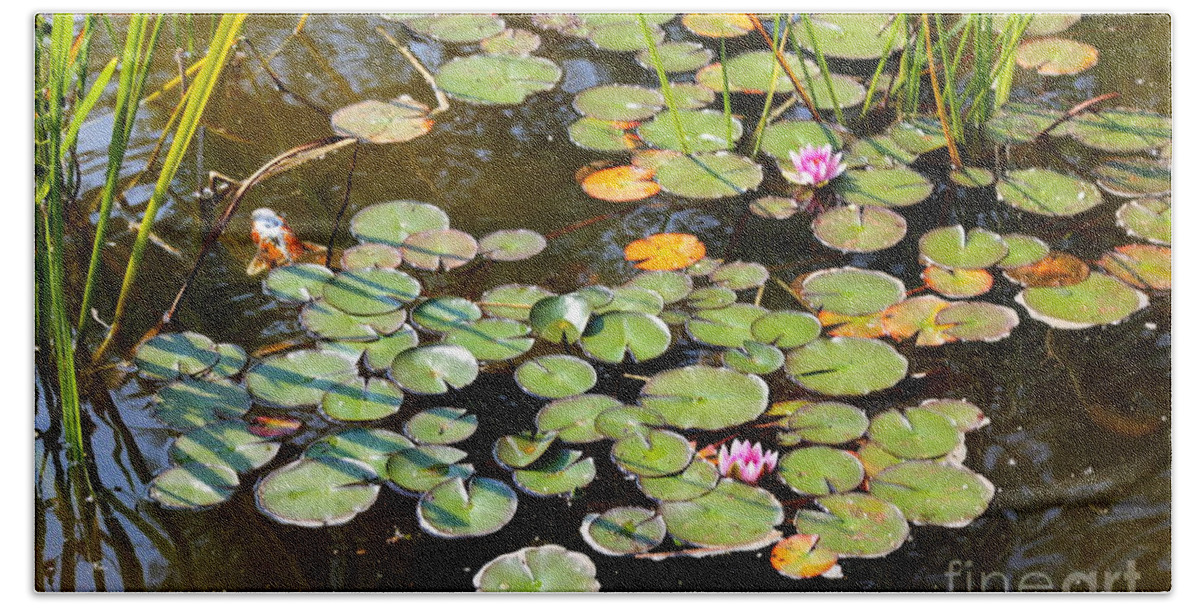 Bruges Bath Sheet featuring the photograph Bruges Lily Pond by Carol Groenen