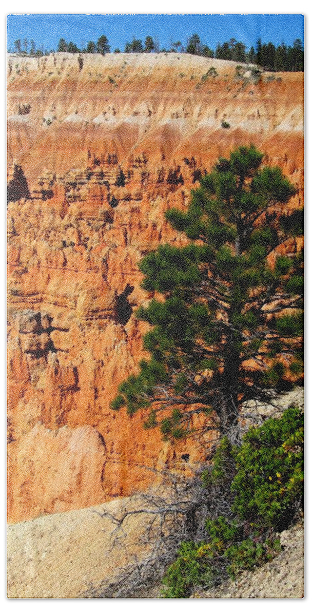Bryce Canyon Bath Towel featuring the photograph Bryce Canyon 157 by Maria Huntley