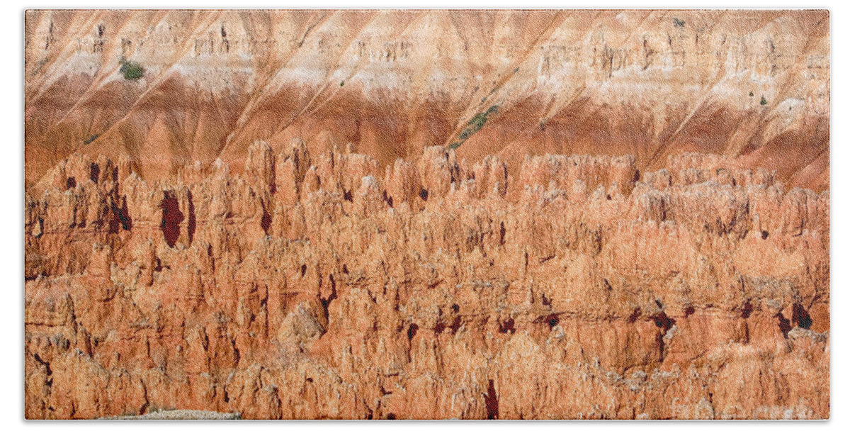 Bryce Canyon Bath Towel featuring the photograph Bryce Canyon Contrast by James BO Insogna
