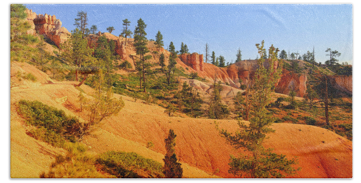Bryce Canyon Bath Towel featuring the photograph Bryce Delicate Landscape by Greg Norrell