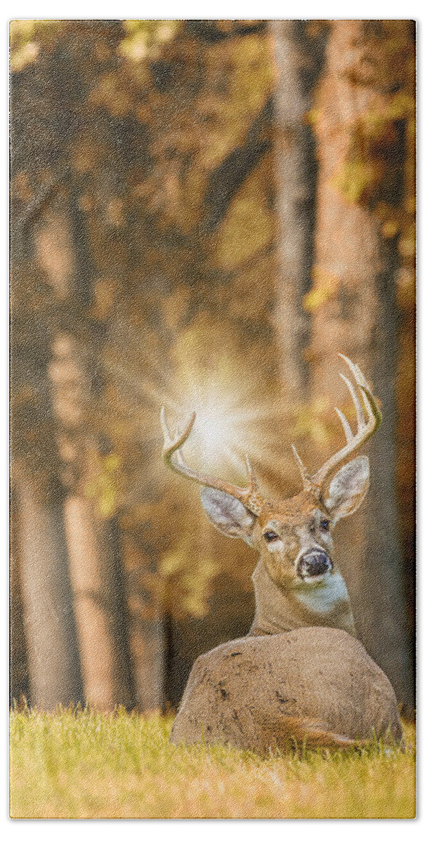 Deer Bath Towel featuring the photograph Buck Wild by Bill and Linda Tiepelman