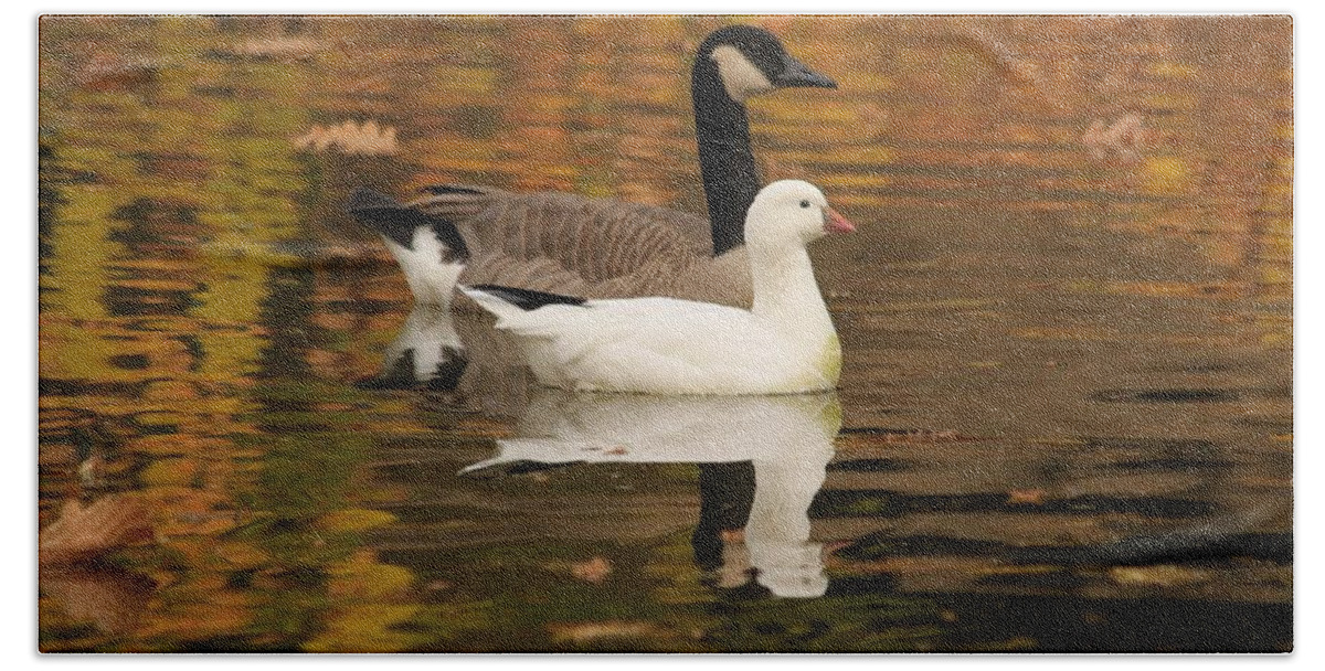 Winter Hand Towel featuring the photograph Buddies by Amy Gallagher