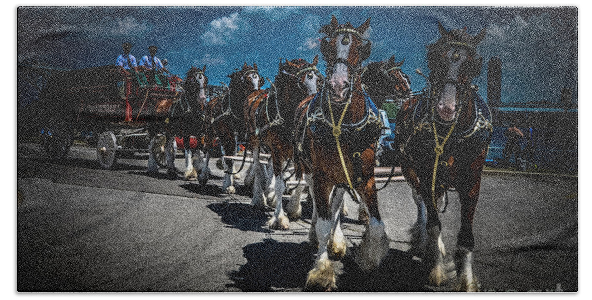 Budweiser Clydesdale's Hand Towel featuring the photograph Budweiser Clydesdales by Ronald Grogan