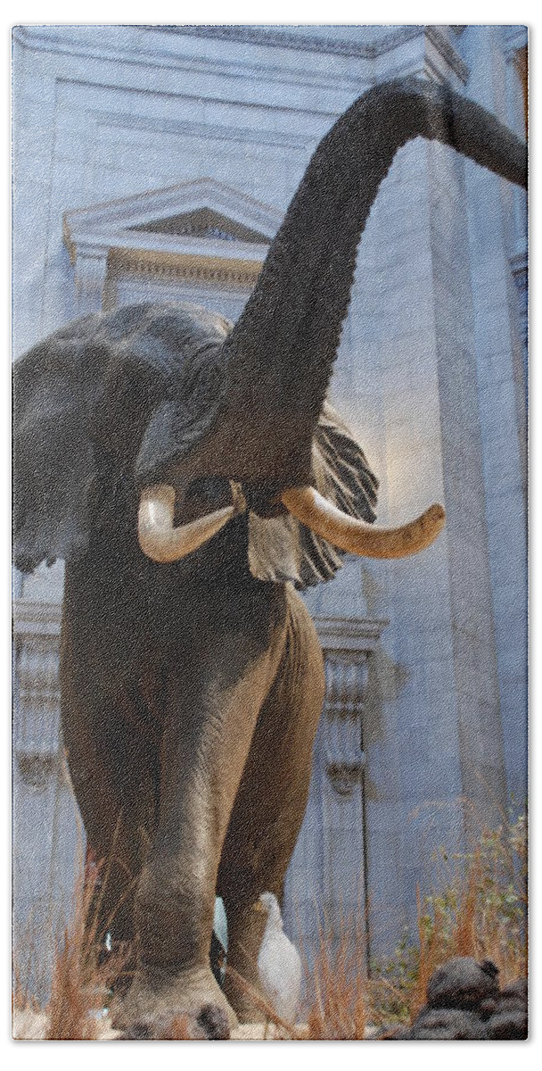 Bull Elephant Bath Towel featuring the photograph Bull Elephant in Natural History Rotunda by Kenny Glover