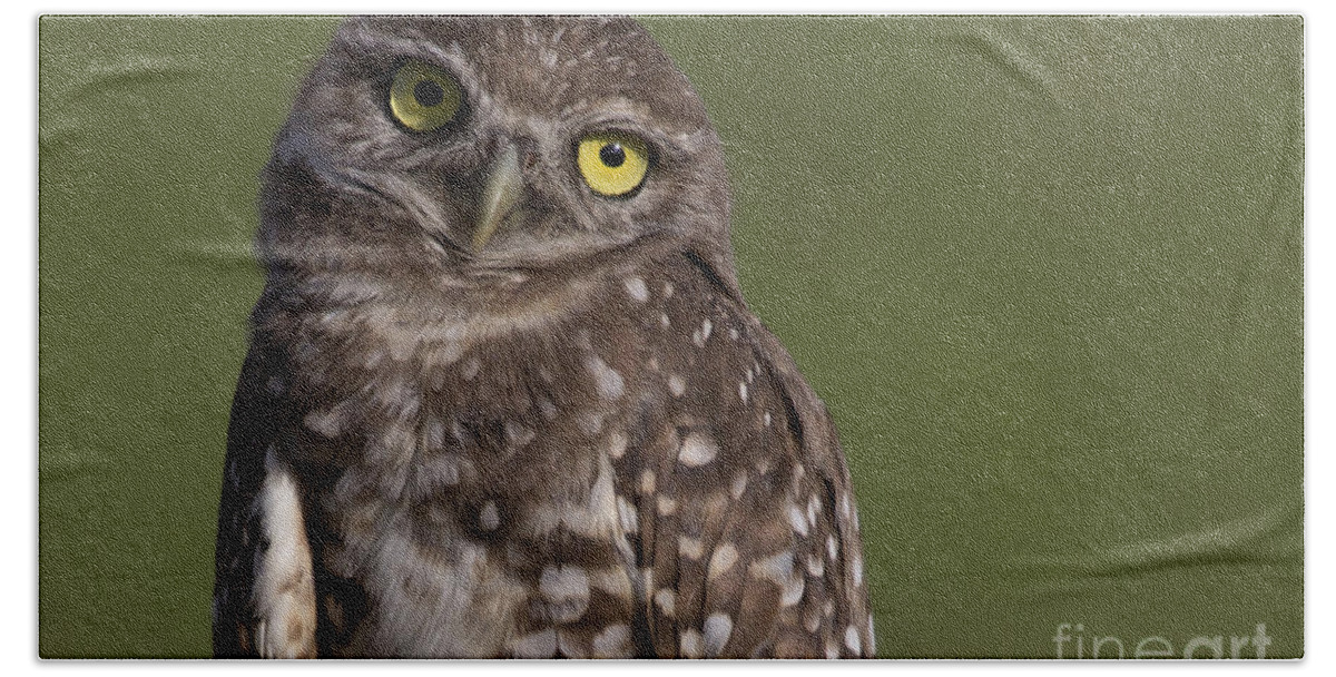 Burrowing Owl Hand Towel featuring the photograph Burrowing Owl by Meg Rousher