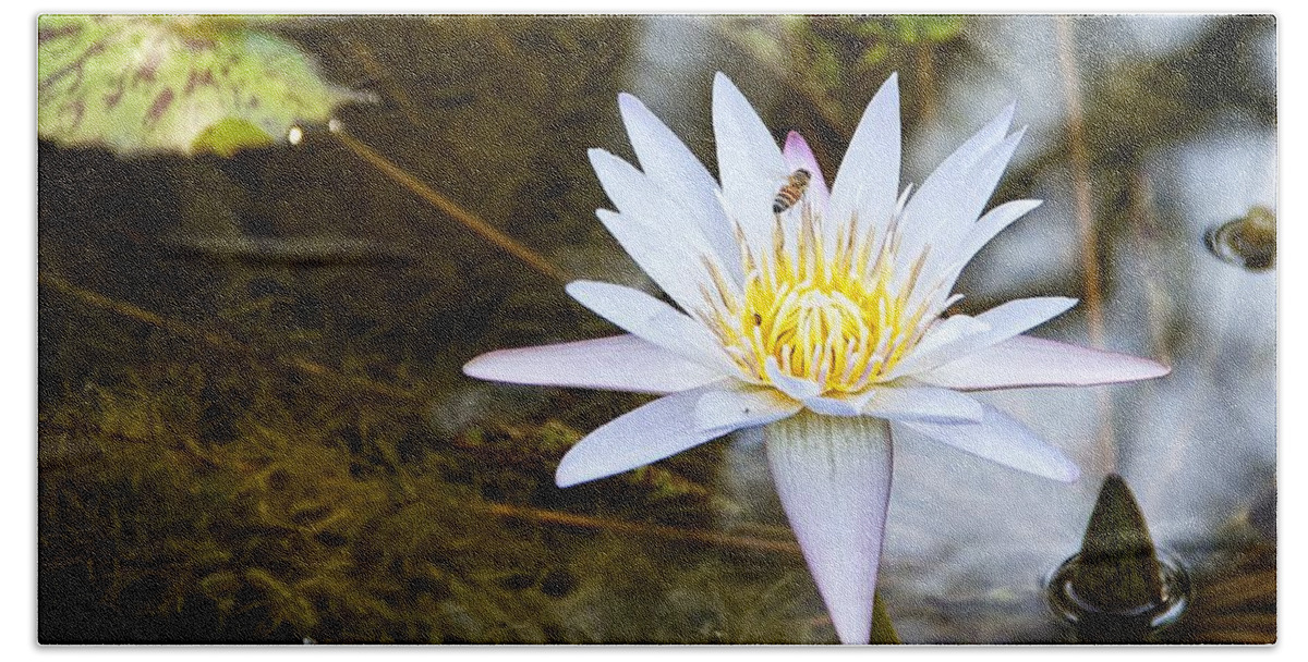Water Lily Bath Towel featuring the photograph Busy Bee by Dave Files