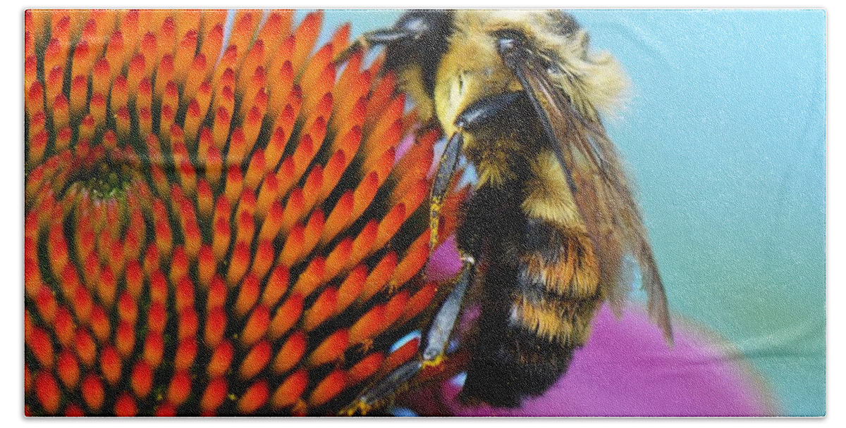 Bee Hand Towel featuring the photograph Busy Bee by Judy Wolinsky
