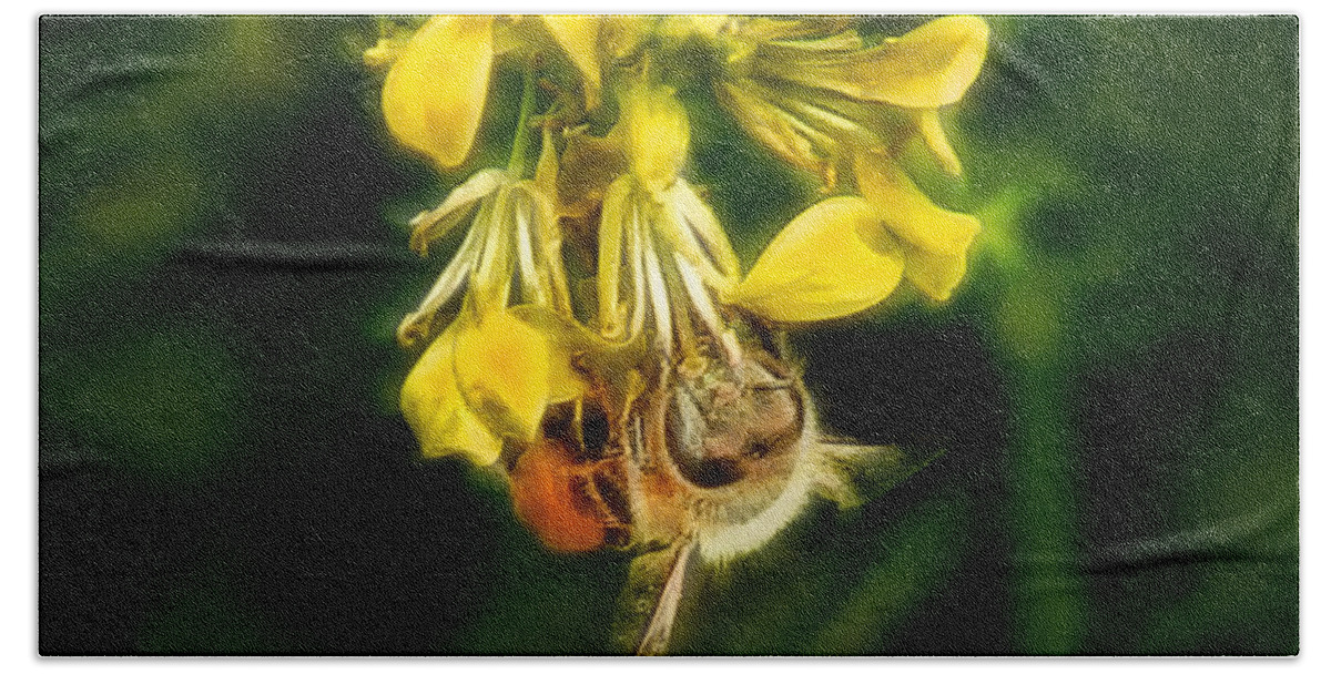 Bee Bath Towel featuring the photograph Busy Bee by Lucy VanSwearingen