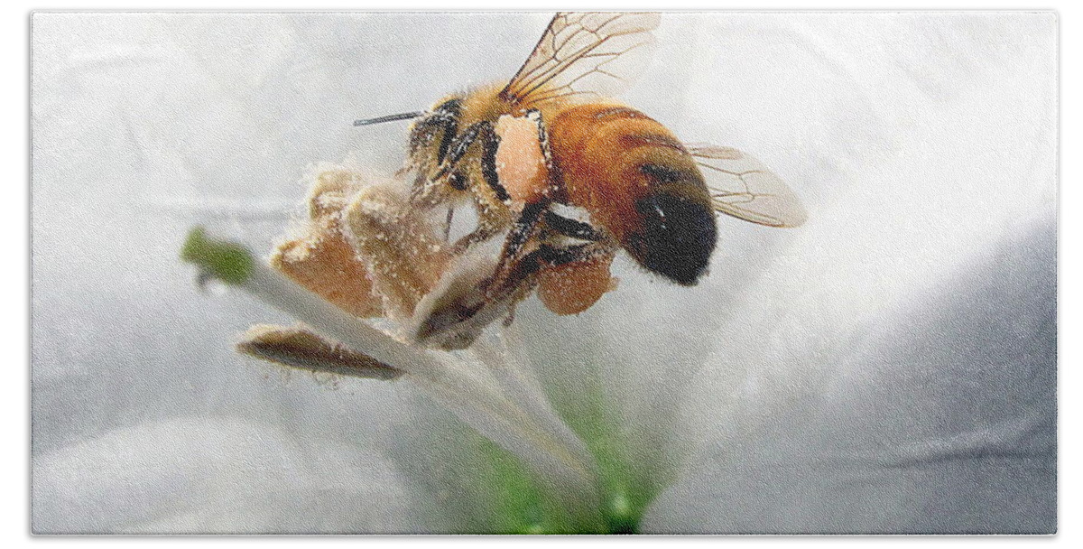 Bee Bath Towel featuring the photograph Busy by Joyce Dickens