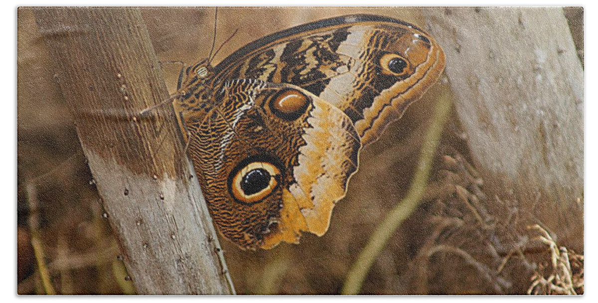 Butterfly Bath Towel featuring the photograph Butterfly 1 by Kathy Churchman