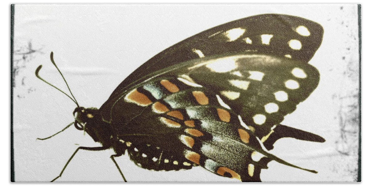 Butterfly Bath Towel featuring the photograph Butterfly Grunge by Dorian Hill