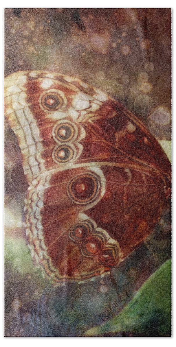 Butterfly Hand Towel featuring the photograph Butterfly in my garden by Barbara Orenya