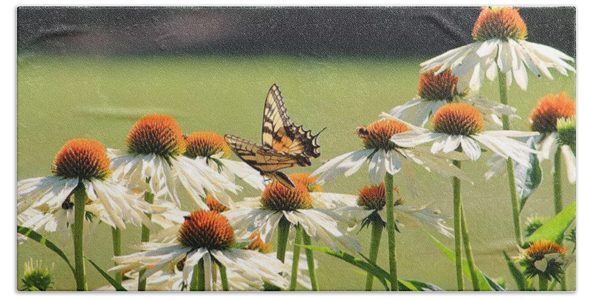 Butterfly Hand Towel featuring the photograph Butterfly on Echinacea by Michael Saunders