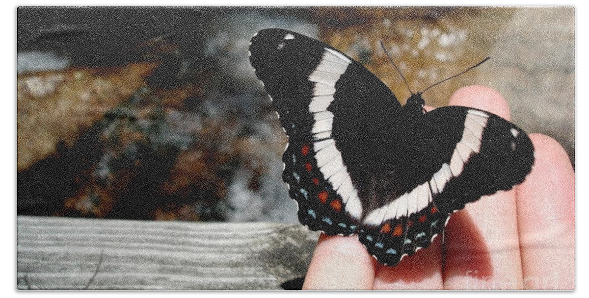 Swallwtail Hand Towel featuring the photograph Butterfly on Fingertips by Kerri Mortenson