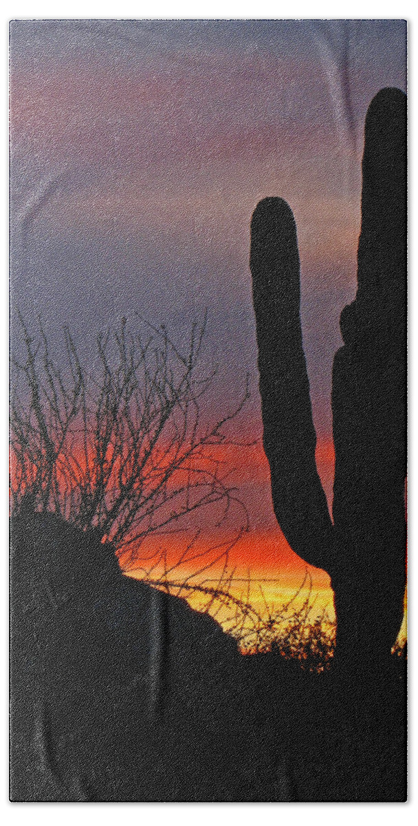 Cactus Hand Towel featuring the photograph Cactus at Sunset by Marcia Socolik