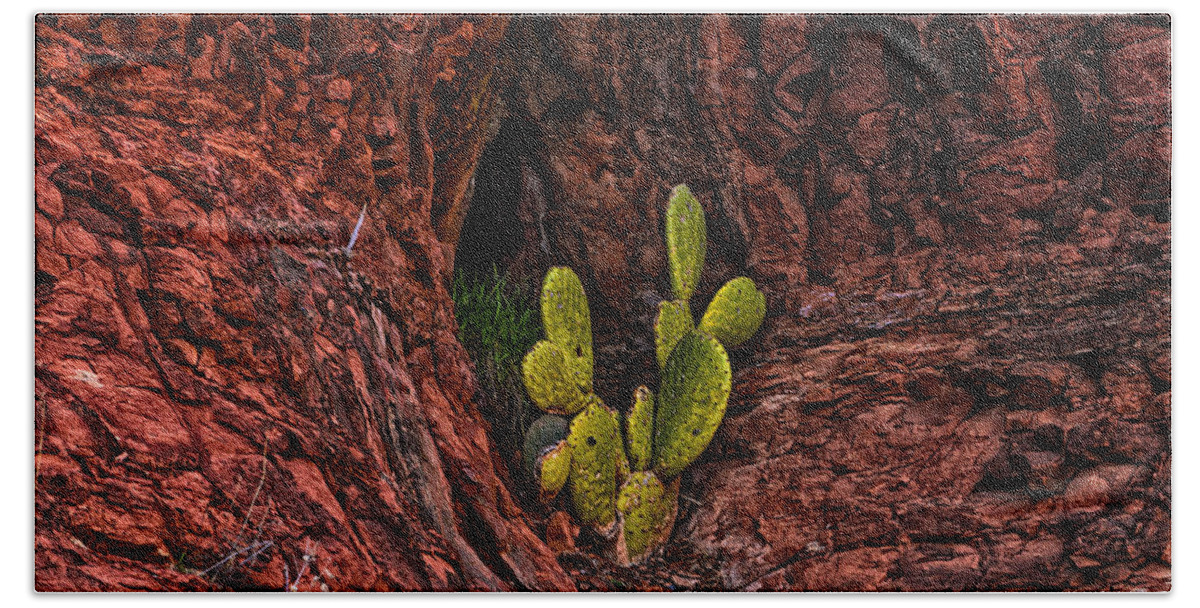 2014 Hand Towel featuring the photograph Cactus Dwelling by Mark Myhaver