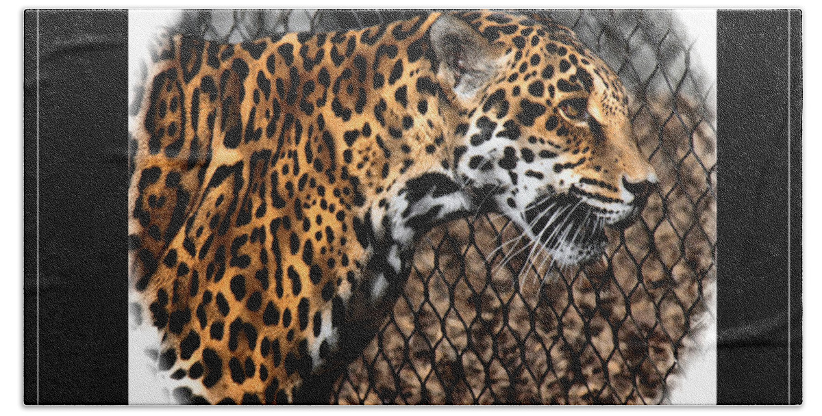 Jaguar Bath Towel featuring the photograph Caged Jaguar by Lucy VanSwearingen